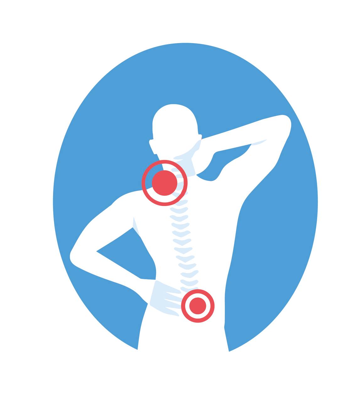 Вертебрологія