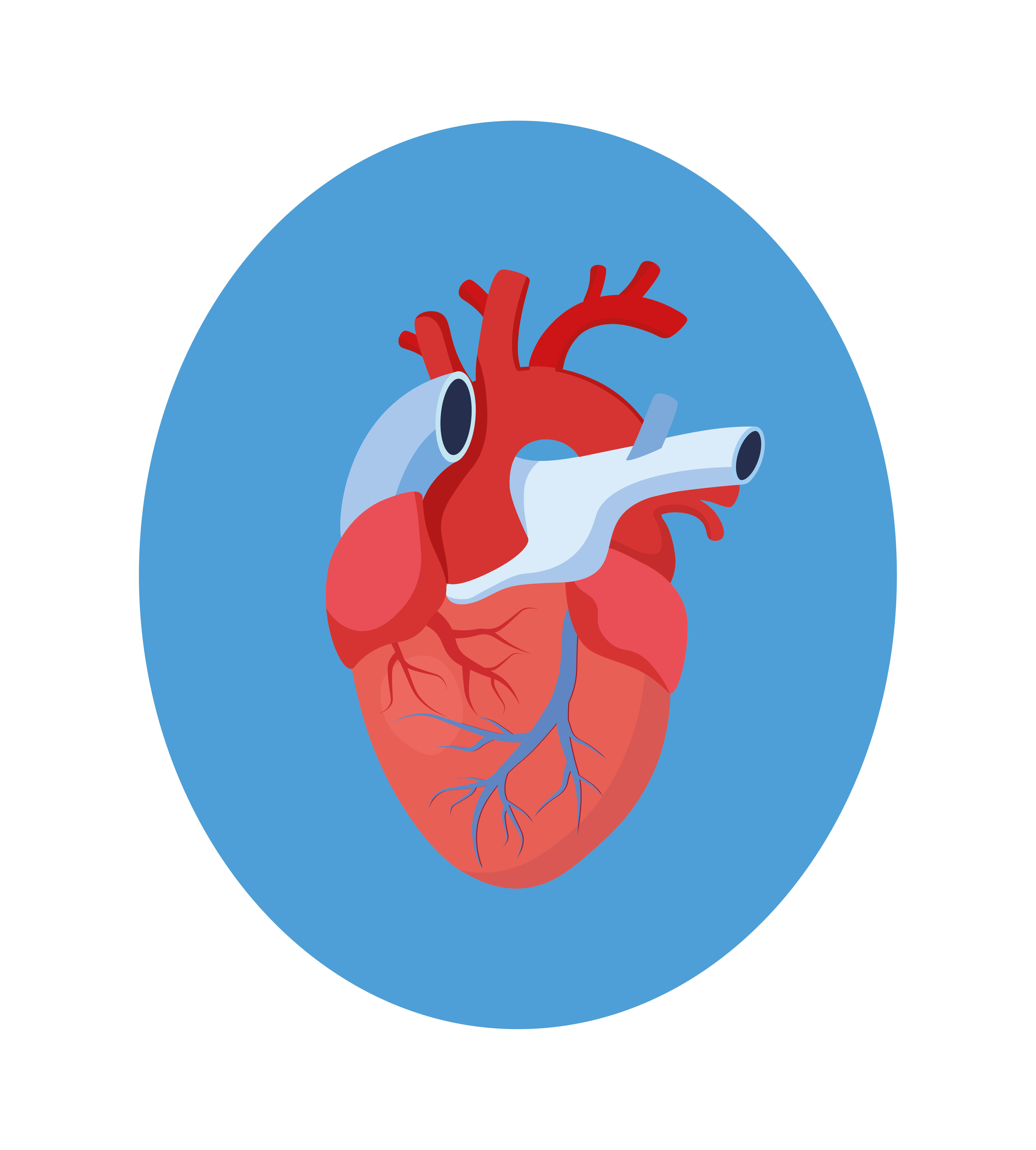 Судинна хірургія